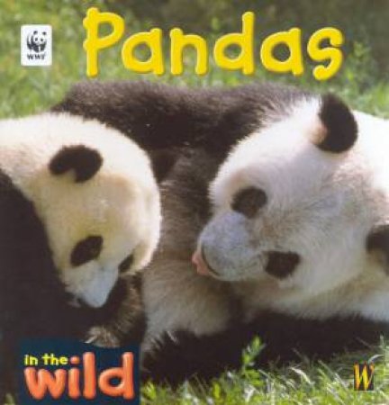 In The Wild: Pandas by Pat Kendell