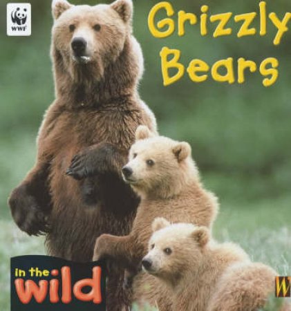 In The Wild: Grizzly Bears by Patricia Kendell