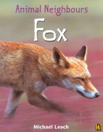 Animal Neighbours: Fox by Michael Leach