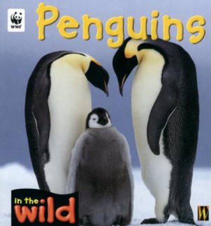 In The Wild: Penguins by Patricia Kendell