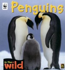 In The Wild Penguins