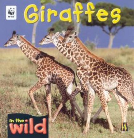 In The Wild: Giraffes by Patricia Kendell