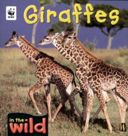 In The Wild: Giraffes by Patricia Kendell