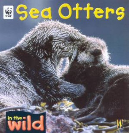 In The Wild: Sea Otters by Patricia Kendell