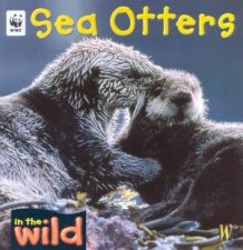 In The Wild Sea Otters