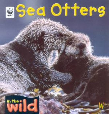 In The Wild: Sea Otters by Patricia Kendell