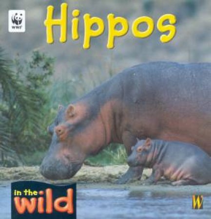 In The Wild: Hippos by Patricia Kendell