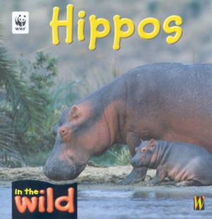 In The Wild: Hippos by Patricia Kendell