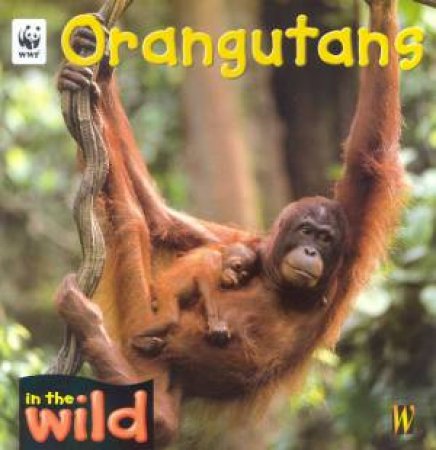 In The Wild: Orangutans by Patricia Kendell