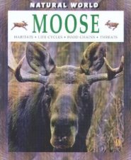 Natural World Moose
