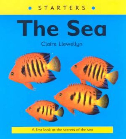 Starters: The Sea by Claire Llewellyn