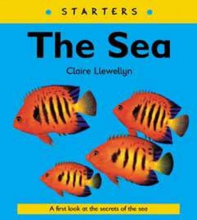 Starters: The Sea by Claire Llewellyn