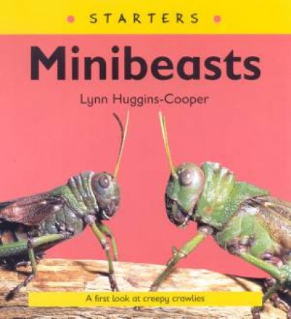 Starters: Minibeasts by Lynn Huggins-Cooper