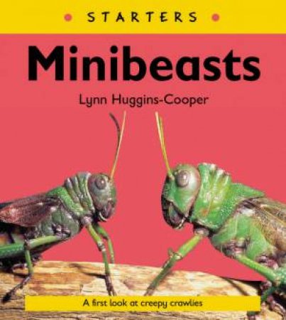 Starters: Minibeasts by Lynn Huggins-Cooper