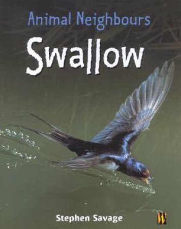 Animal Neighbours: Swallow by Stephen Savage