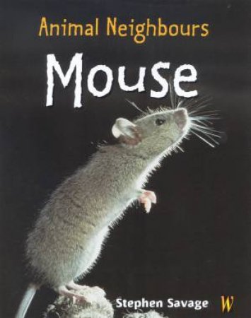 Animal Neighbours: Mouse by Stephen Savage