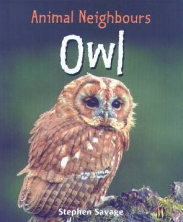 Animal Neighbours: Owl by Stephen Savage