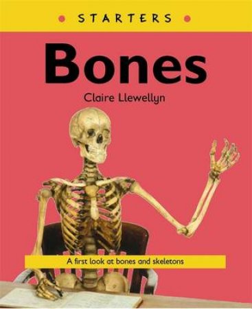 Starters: Bones by Claire Llewellyn 