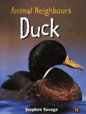 Animal Neighbours: Duck by Stephen Savage