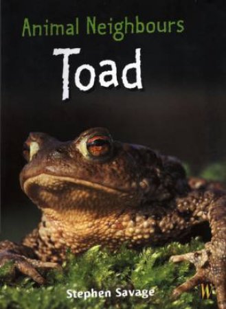 Animal Neighbours: Toad by Stephen Savage