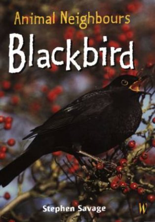 Animal Neighbours: Blackbird by Stephen Savage