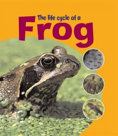 Life Cycles: Frog by Ruth Thomson 