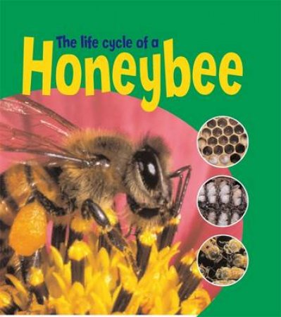 Life Cycles: Honeybee by Ruth Thomson 