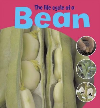 Life Cycles: Bean by Ruth Thomson 