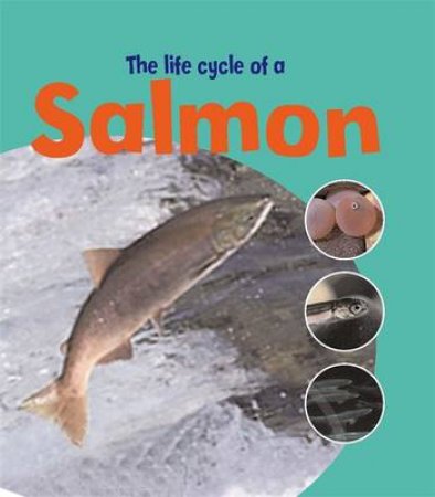 Life Cycles: Salmon by Ruth Thomson 