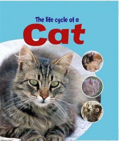 Life Cycles: Cat by Ruth Thomson 