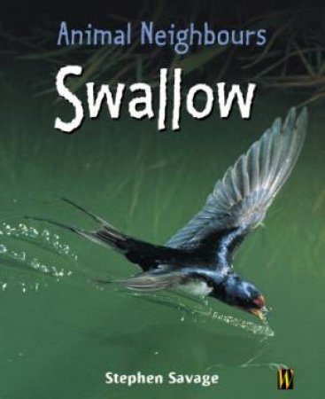 Animal Neighbours: Swallow by Stephen Savage