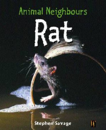 Animal Neighbours: Rat by Stephen Savage