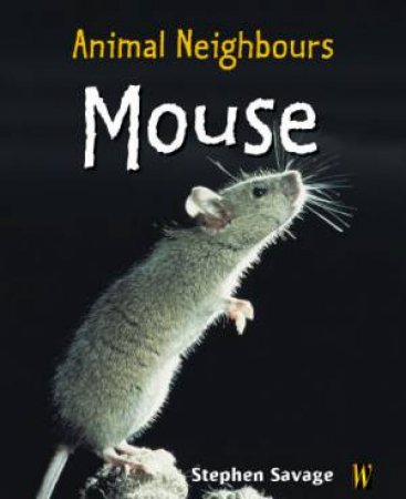 Animal Neighbours: Mouse by Stephen Savage