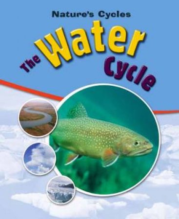 Nature's Cycles: The Water Cycle by Sally Morgan