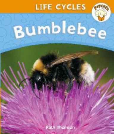 Life Cycles: Bumblebee by Ruth Thomson