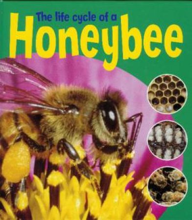 Learning About Life Cycles: Honeybee by Ruth Thomson