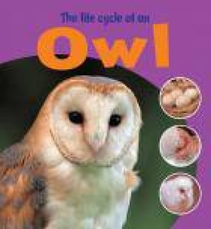 The Life Cycle of an Owl by Ruth Thomson