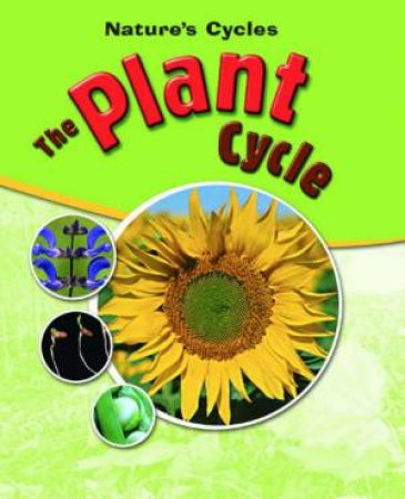 The Plant Cycle by Sally Morgan