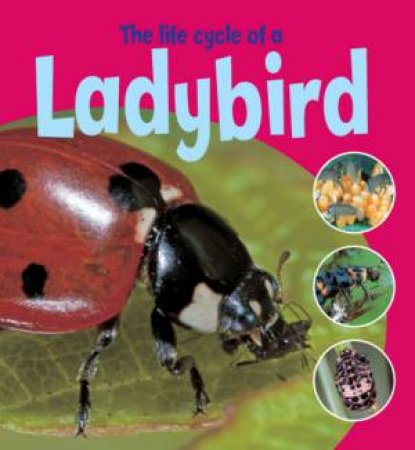 The Life Cycle of a Ladybird by Ruth Thomson