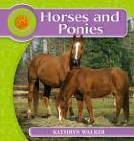 Horses and Ponies by Kathryn Walker