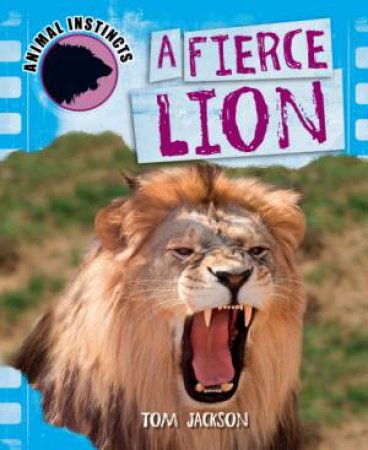 Animal Instincts: A Fierce Lion by Tom Jackson