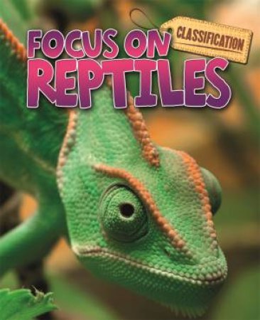 Classification: Focus on: Reptiles by Stephen Savage