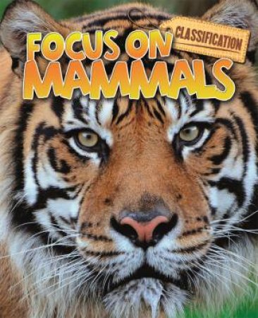 Classification: Focus on: Mammals by Stephen Savage