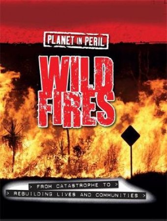 Planet in Peril: Wild Fires by Cath Senker