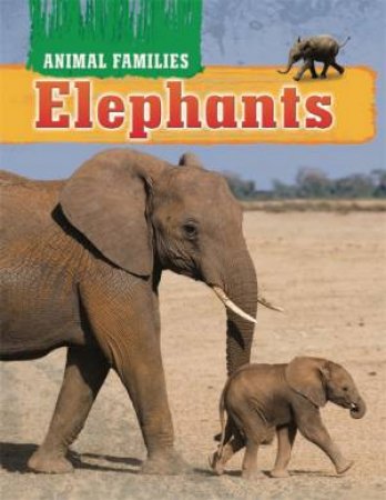 Animal Families: Elephants by Tim Harris