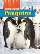 Animal Families Penguins