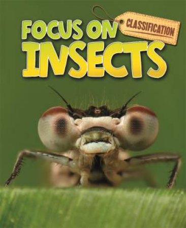 Classification: Focus on: Insects by Stephen Savage