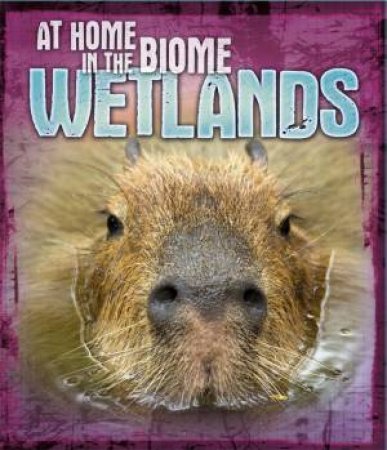 At Home in the Biome: Wetlands by Louise Spilsbury & Richard Spilsbury