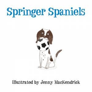 Springer Spaniels by JENNY MACKENDRICK