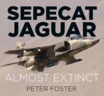 Sepecat Jaguar Almost Extinct